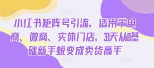 小红书矩阵号引流,适用于电商、微商、实体门店,30天从0基础新手蜕变成卖货高手-学习资源社