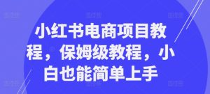 小红书电商项目教程,保姆级教程,小白也能简单上手-学习资源社