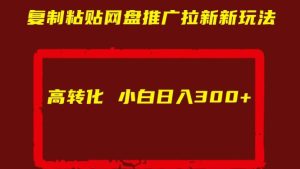 复制粘贴网盘推广拉新新玩法高转化小白日入300+【揭秘】-学习资源社