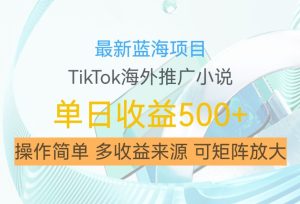 最新蓝海项目,利用tiktok海外推广小说赚钱佣金,简单易学,日入500+,可矩阵放大【揭秘】-学习资源社
