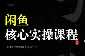 2024闲鱼核心实操课程,从养号、选品、发布、销售,教你做一个出单的闲鱼号-学习资源社