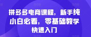 拼多多电商课程,新手纯小白必看,零基础教学快速入门-学习资源社