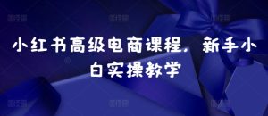 小红书高级电商课程,新手小白实操教学-学习资源社