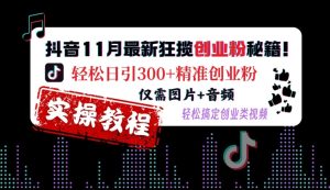抖音11月最新狂揽创业粉秘籍,轻松日引300+精准创业粉,仅需图片+音频,轻松搞定创业类视频-学习资源社
