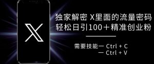 独家解密 X 里面的流量密码,复制粘贴轻松日引100+-学习资源社