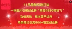 小红书11月最新图片打粉,一张图片引爆创业粉,“预算4980带我飞”,单条引流500+精准创业粉-学习资源社