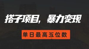 2024搭子玩法,0门槛,暴力变现,单日最高破四位数【揭秘】-学习资源社