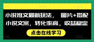 小说推文最新玩法, 图片+搭配小说文案,转化率高,收益稳定-学习资源社