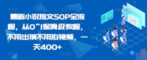 最新小说推文SOP全流程,从0~1保姆级教程,不用出镜不用拍视频,一天400+-学习资源社