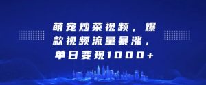 萌宠炒菜视频,爆款视频流量暴涨,单日变现1k-学习资源社