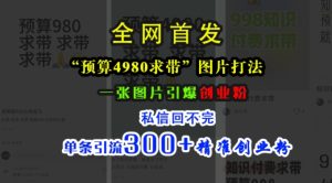 小红书“预算4980带我飞”图片打法,一张图片引爆创业粉,私信回不完,单条引流300+精准创业粉-学习资源社