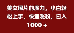 美女图片的魔力,小白轻松上手,快速涨粉,日入几张【揭秘】-学习资源社