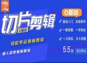 0基础IP切片剪辑,轻松学会视频剪辑,新人玩转视频剪辑-学习资源社