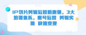IP切片剪辑运营陪跑课,3大培训体系,账号运营 剪辑实操 快速变现-学习资源社