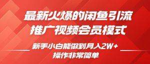 闲鱼引流推广影视会员,0成本就可以操作,新手小白月入过W+【揭秘】-学习资源社