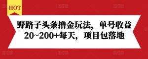 野路子头条撸金玩法,单号收益20~200+每天,项目包落地-学习资源社