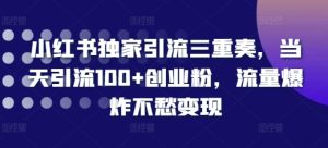小红书独家引流三重奏,当天引流100+创业粉,流量爆炸不愁变现【揭秘】-学习资源社