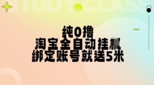 纯0撸,淘宝全自动挂JI,授权登录就得5米,多号多赚【揭秘】-学习资源社
