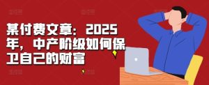 某付费文章:2025年,中产阶级如何保卫自己的财富-学习资源社