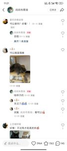 小红书私人定制图项目,附赠一单4W渠道【揭秘】-学习资源社