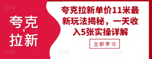 夸克拉新单价11米最新玩法揭秘,一天收入5张实操详解-学习资源社