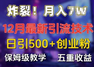 炸裂!揭秘12月最新日引流500+精准创业粉,多重收益保姆级教学-学习资源社