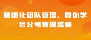 精细化团队管理,教你学会公司管理流程-学习资源社