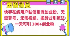 快手最新引流创业粉方法,无需养号、无需视频、搬砖式引流法【揭秘】-学习资源社