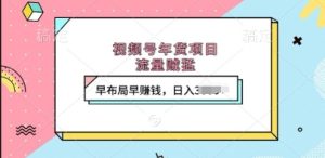 视频号年货项目,流量贼猛,早布局早挣钱,日入上k【揭秘】-学习资源社