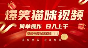 爆笑猫咪视频:简单操作,日入过K,视频号搞钱新策略【揭秘】-学习资源社