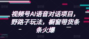 视频号AI语音对话项目,野路子玩法,橱窗带货条条火爆-学习资源社