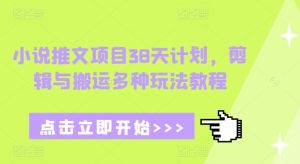 小说推文项目38天计划,剪辑与搬运多种玩法教程-学习资源社