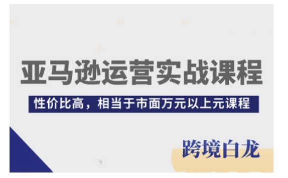 亚马逊运营实战课程，亚马逊从入门到精通，性价比高，相当于市面万元以上元课程-学习资源社