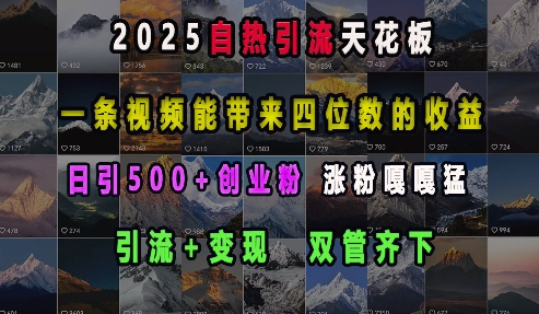 2025自热引流天花板，一条视频能带来四位数的收益，引流+变现双管齐下，日引500+创业粉，涨粉嘎嘎猛-学习资源社