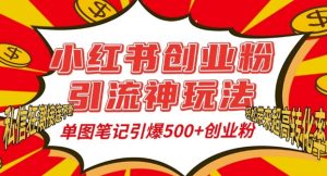 小红书创业粉引流神玩法,单图笔记引爆500+精准创业粉丝,私信狂潮接连不断-学习资源社