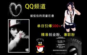 QQ频道:被低估的流量巨兽,单日引爆500+精准创业粉、兼职粉的引流秘籍-学习资源社
