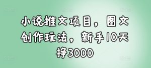 小说推文项目，图文创作玩法，新手10天挣3000-学习资源社