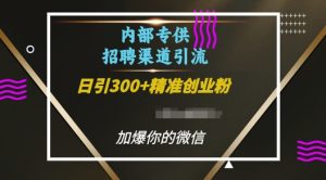 内部招聘渠道日引流300+创业粉,加爆你的微信【揭秘】-学习资源社
