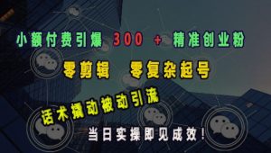 小额付费引爆 300 + 精准创业粉,零剪辑、零复杂起号,话术撬动被动引流,当日实操即见成效-学习资源社