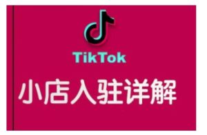TikTok跨境小店运营全攻略,帮助你独立运营TK跨境小店的能力,实现销量增长-学习资源社