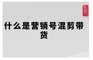 营销号混剪带货,从内容创作到流量变现的全流程,教你用营销号形式做混剪带货-学习资源社