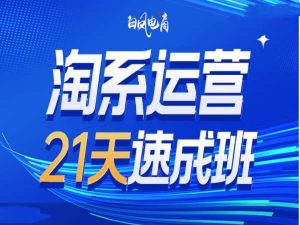 淘系运营21天速成班35期,年前最后一波和2025方向-学习资源社