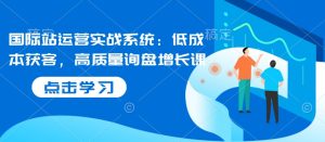 国际站运营实战系统:低成本获客,高质量询盘增长课-学习资源社