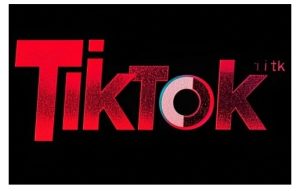 TikTok ads投流秘籍,涵盖tiktok整体投放思路,教你搭建测试计划-学习资源社