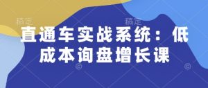 直通车实战系统:低成本询盘增长课,让个人通过技能实现升职加薪,让企业低成本获客,订单源源不断-学习资源社