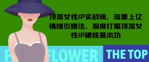 顶流女性IP实战班,流量上亿情绪引爆法,深度打磨顶流女性IP硬核基本功-学习资源社