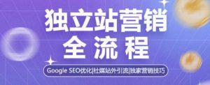独立站营销全流程,Google SEO优化,社媒站外引流,独家营销技巧-学习资源社