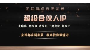 互联网项目天花板,超级合伙人IP,全网都在割韭菜,我来教你做镰刀【仅揭秘】-学习资源社