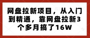 网盘拉新项目,从入门到精通,靠网盘拉新3个多月搞了16W-学习资源社