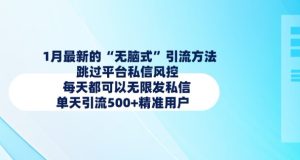 1月最新的无脑式引流方法,跳过平台私信风控,每天都可以无限发私信,单天引流500+精准用户-学习资源社